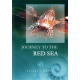Natures Beauty - Journey To The Red Sea